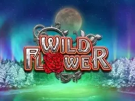 Wild Flower_V1 DNT